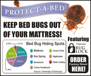 dust mites matress covers