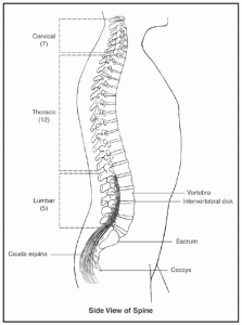 Posture correction brace