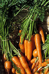 Carrots Antioxidant Value
