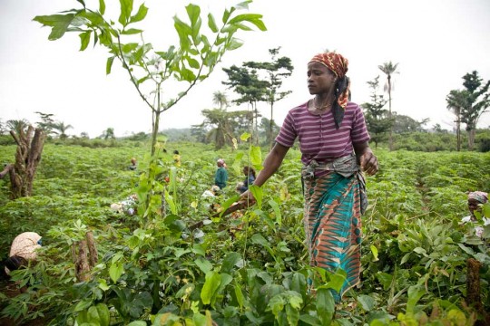 Rwandans set to benefit from UN farm loans and grants