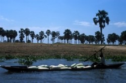 A Sudanese farmer transports watermelons to market on the White Nile.