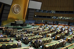 United Nations (UN).