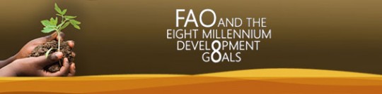 FAO Millennium Development Goals